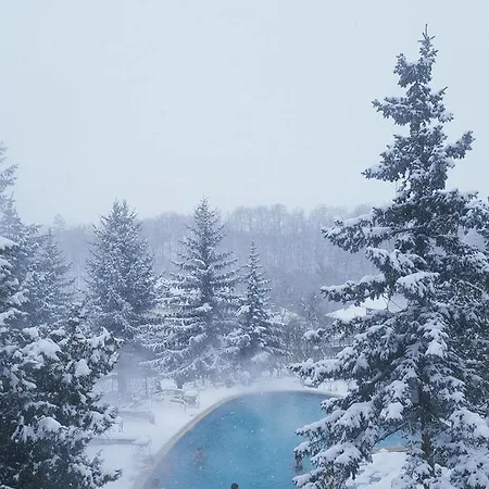 Vitalis Hotel